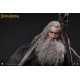 Lord Of The Rings The Fellowship of The Ring Gandalf 1/6 Scale Action Figure